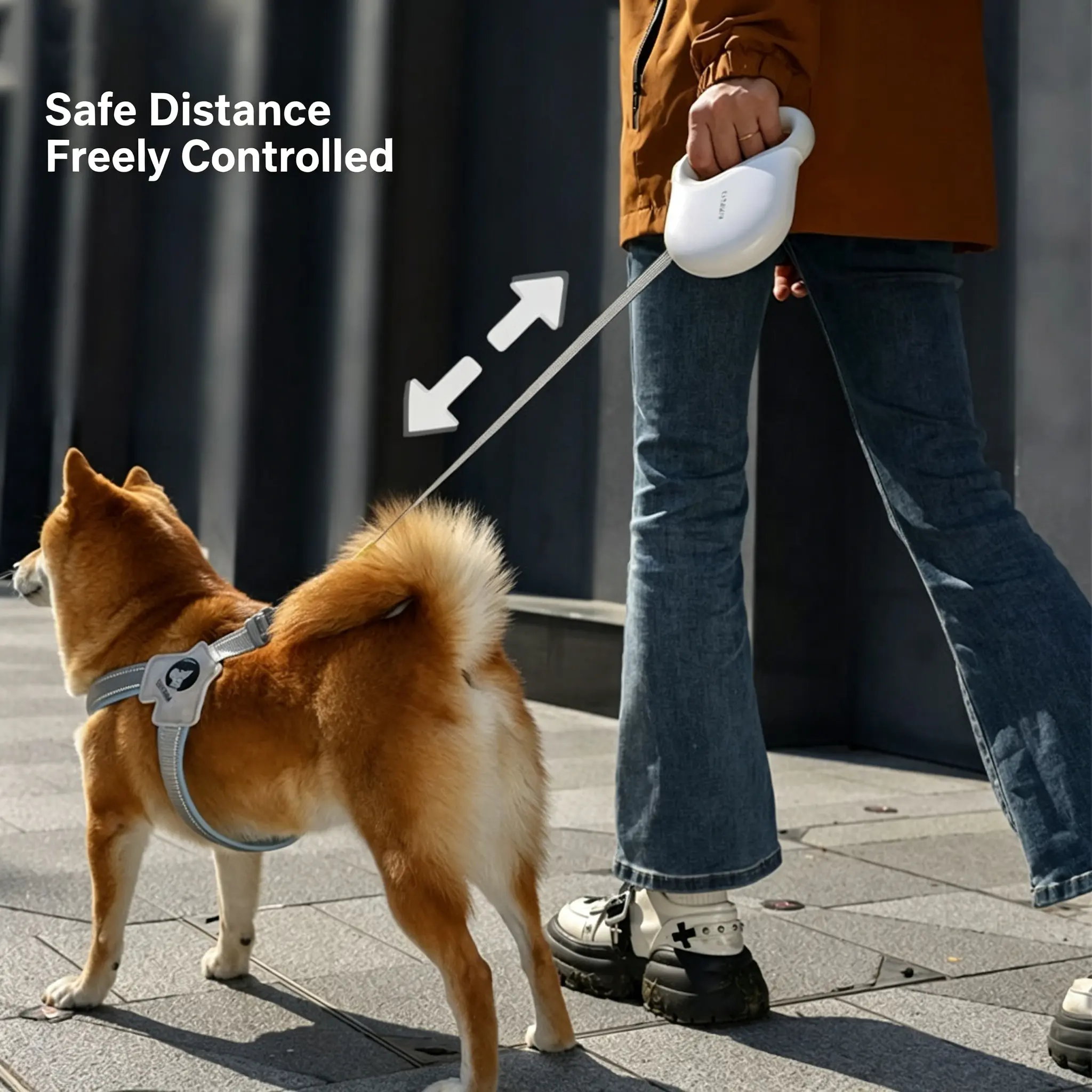 Reflective Dog Leash