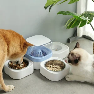 JH-D004 double stainless steel pet feeding bowls, dog and cat eating drinking together indoor lifestyle shot