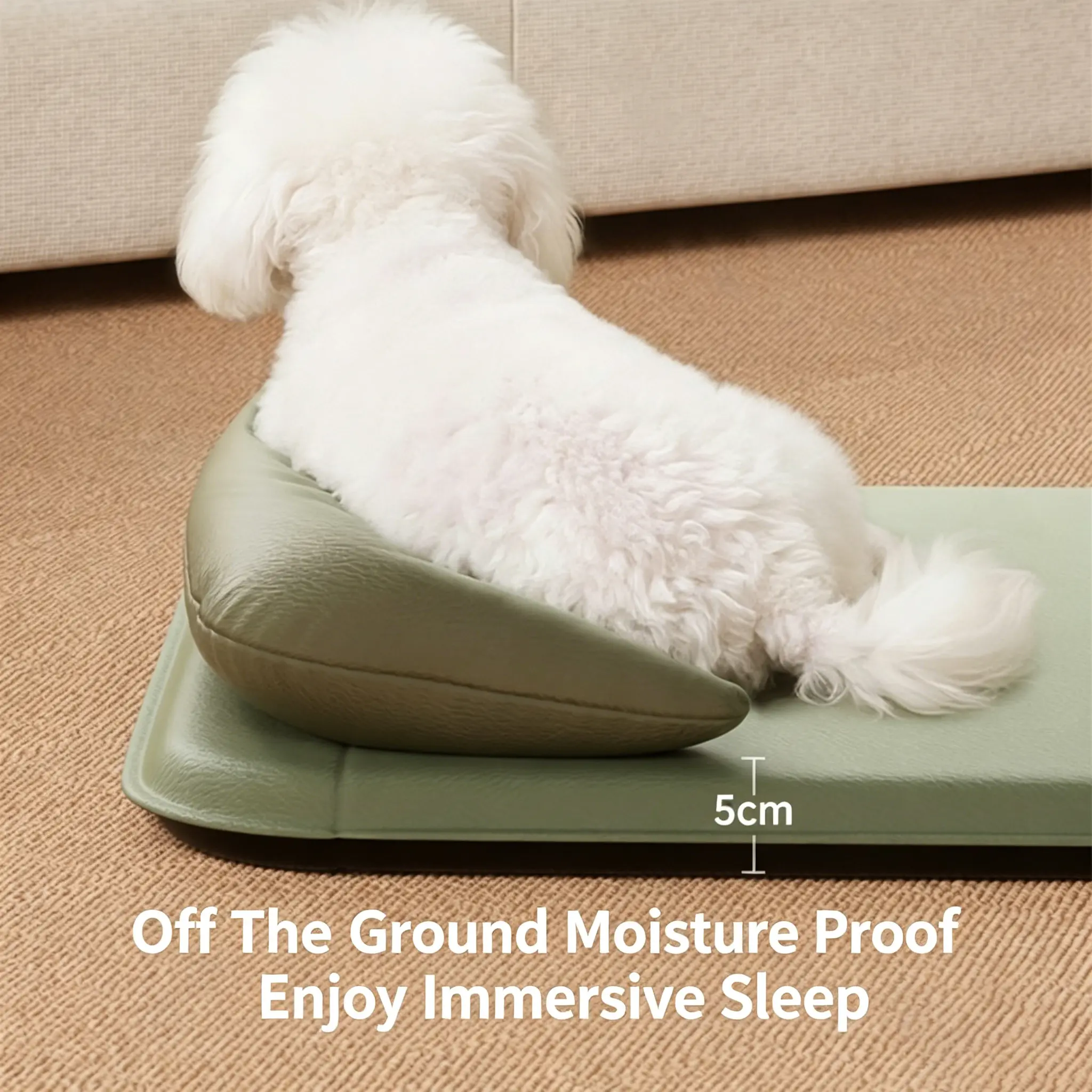 JH-D005 5cm thick off-ground moisture proof dog mat, fluffy white puppy resting on immersive sleep cushion