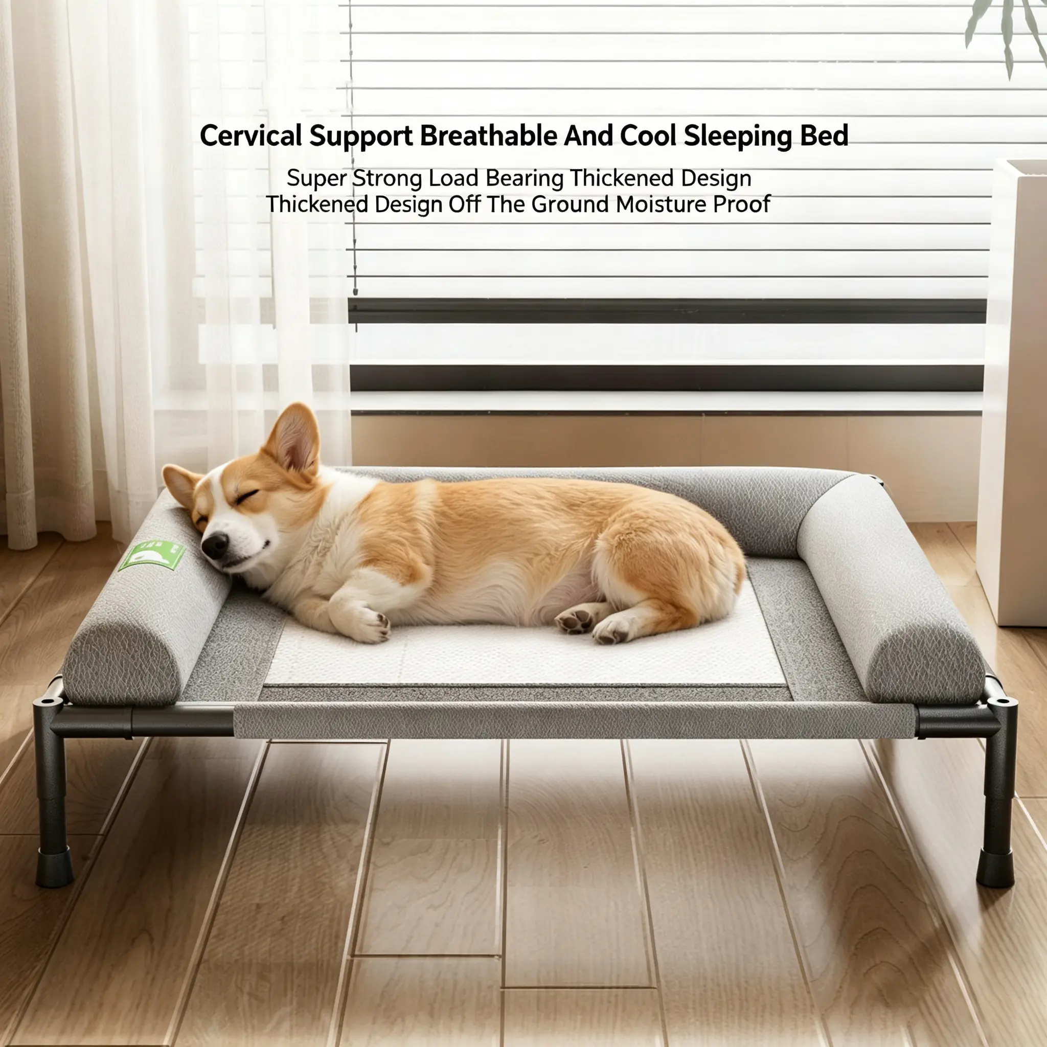 JH-D006 bolster sided raised pet bed, corgi sleeping comfortably on breathable cooling mesh surface
