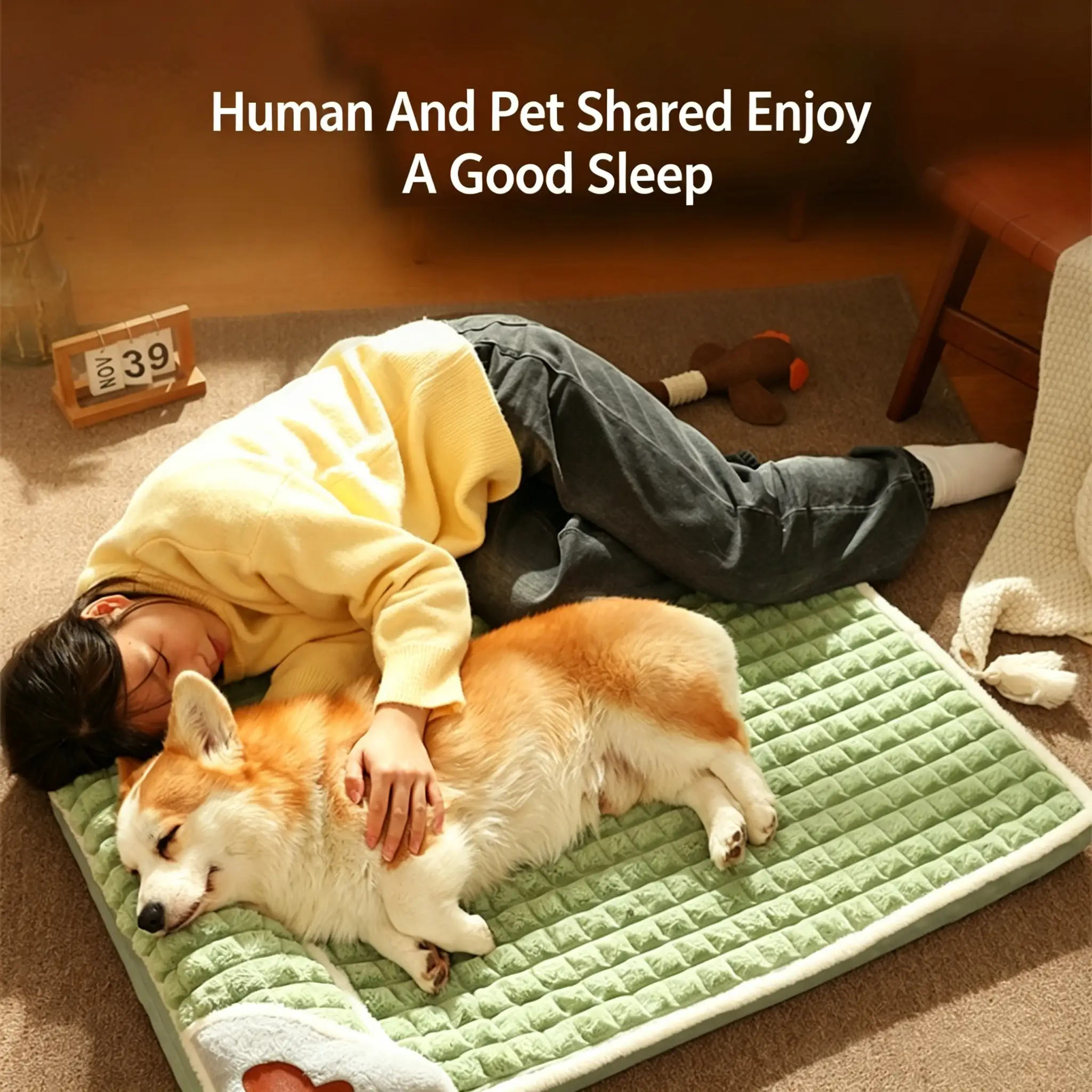 JH-D008 multi-scene shared sleeping mat, owner accompanying corgi dog resting on warm pet bed pad