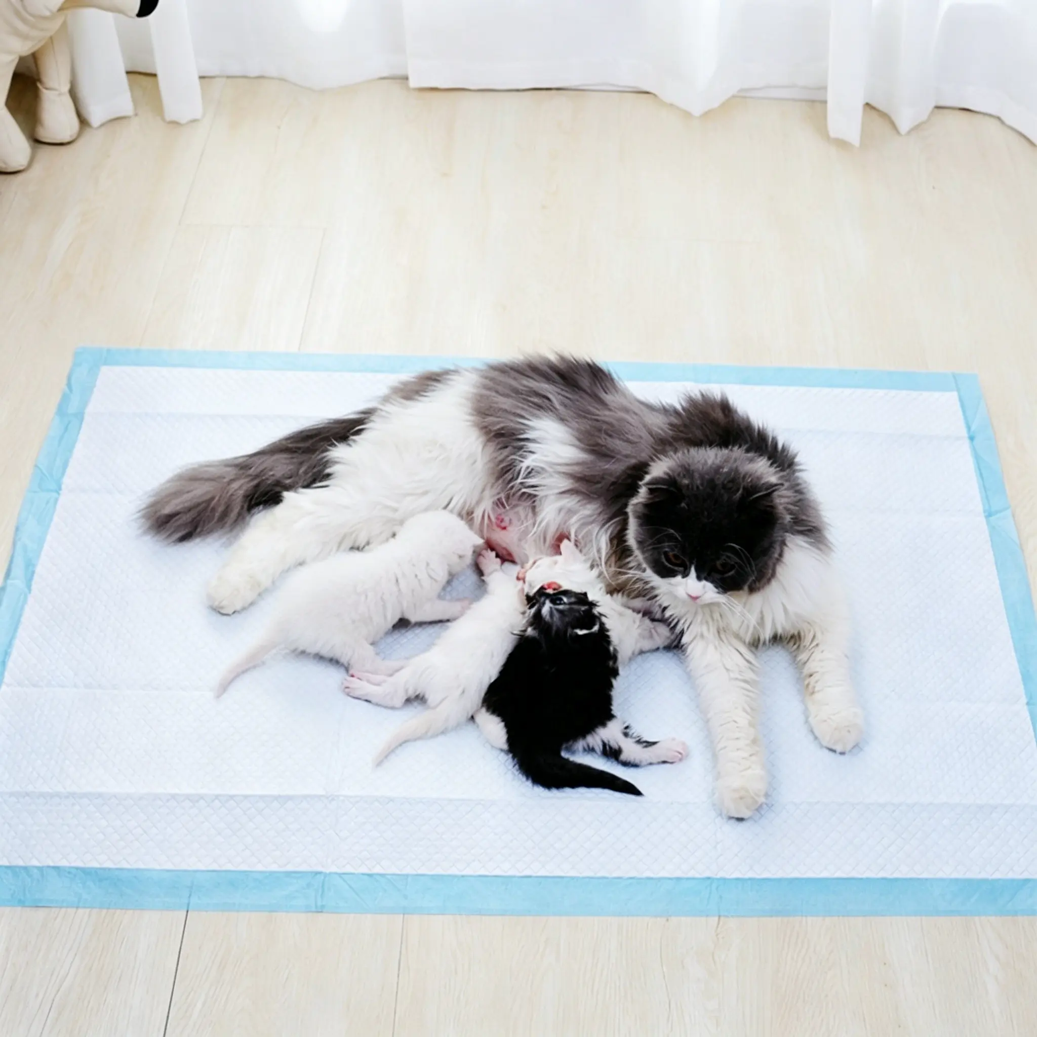 JH-S001 large size disposable urine pad laid on floor, mother dog nursing puppies on leakproof absorbent mat