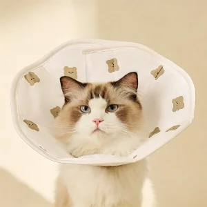 JH-W001 soft fabric cone collar worn by ragdoll cat, anti-lick wound healing neck protector real effect