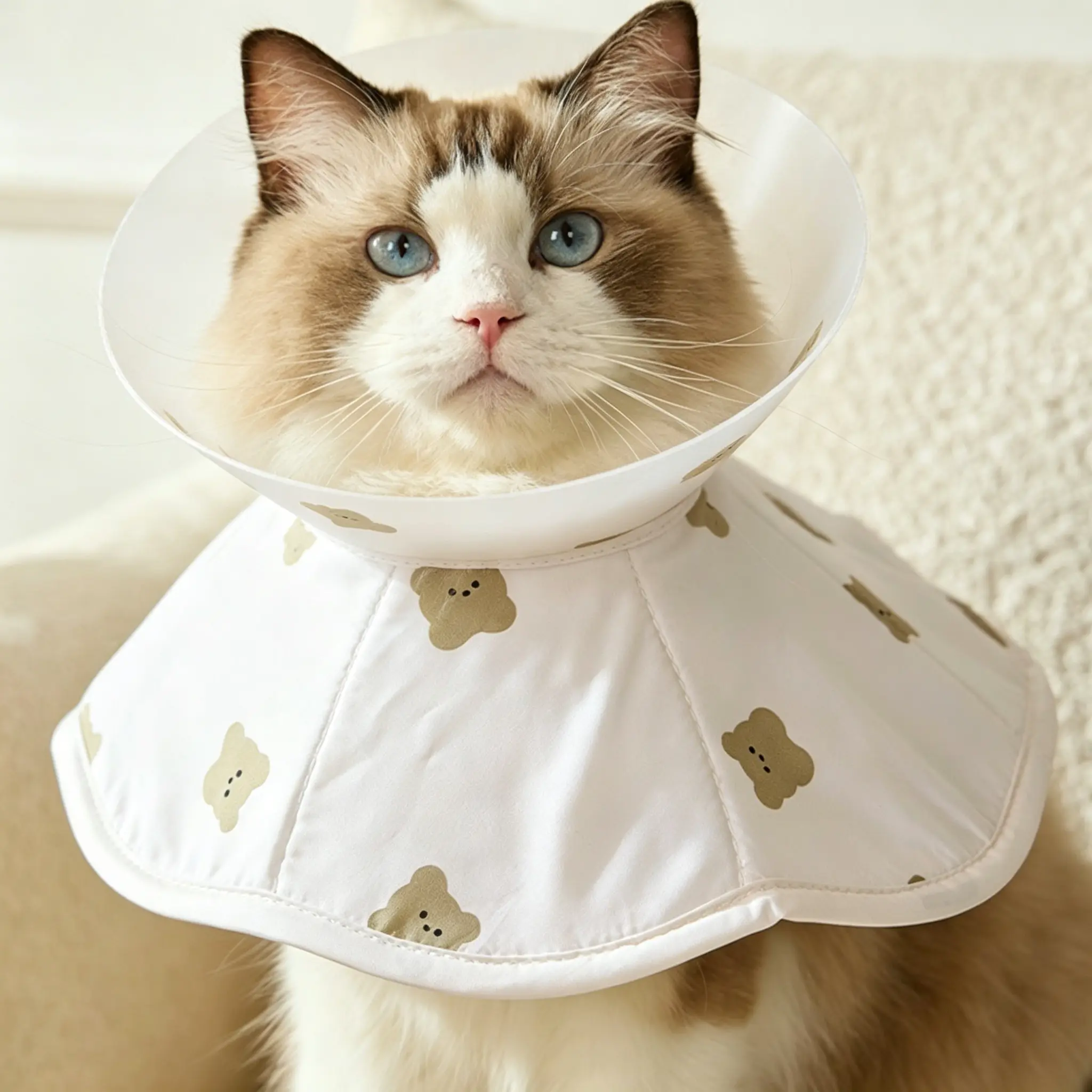 JH-W001 widened brim soft Elizabethan collar, full coverage anti-bite anti-lick pet neck cone photo